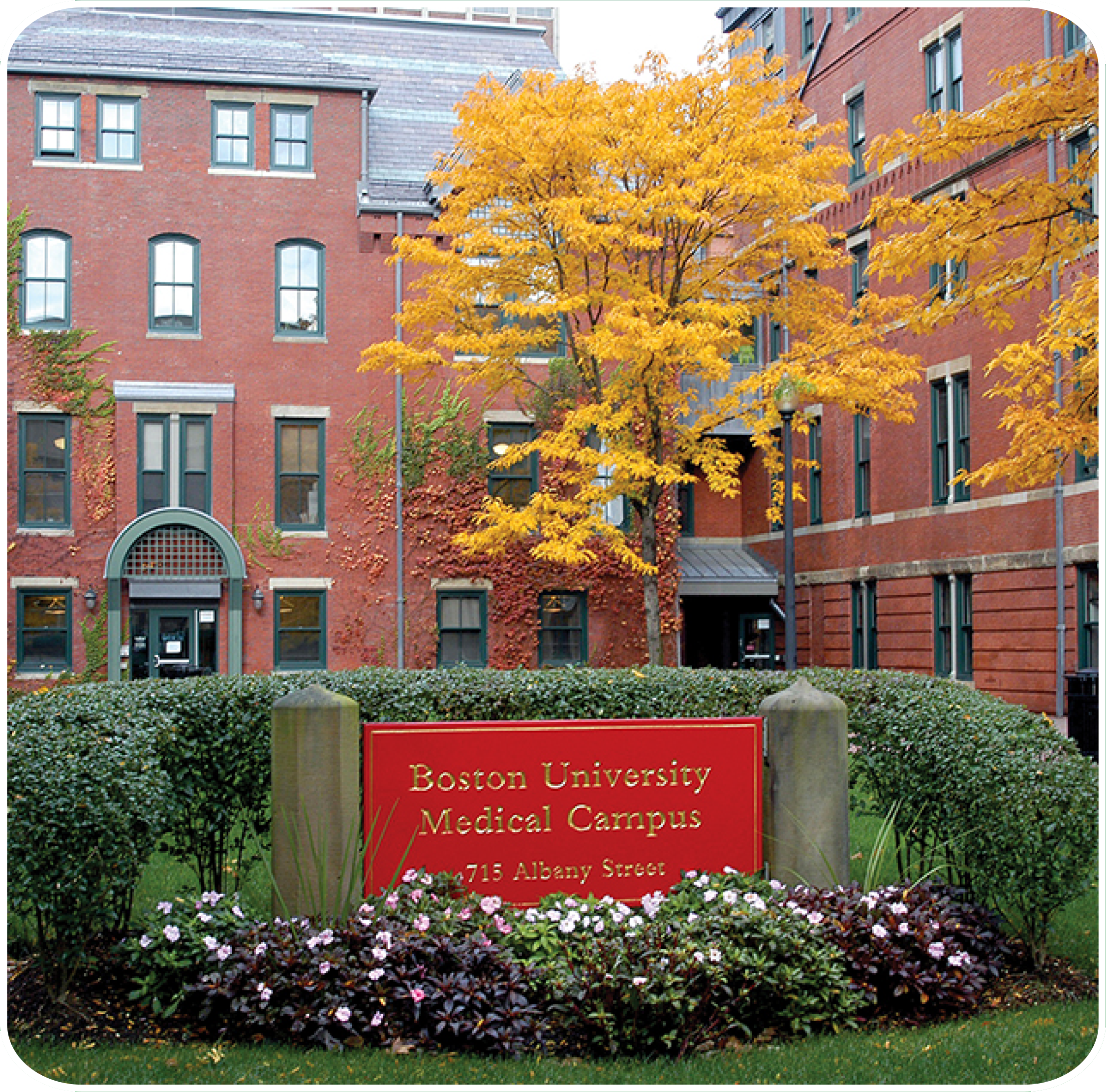 Boston University
